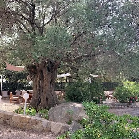 Corsicana Apartamento LʼÎle-Rousse