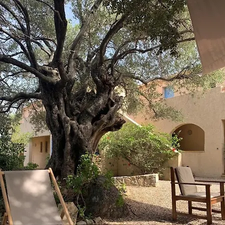 Corsicana Apartamento *