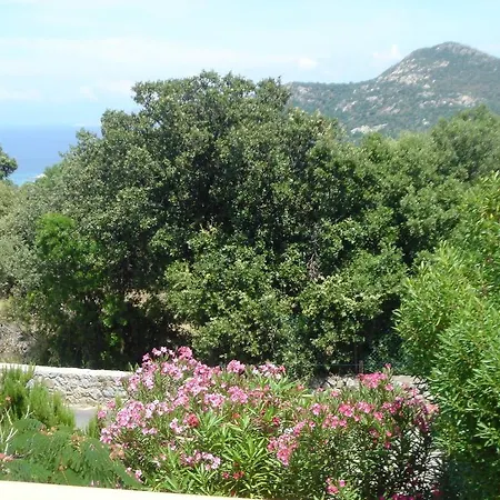 Corsicana Apartamento