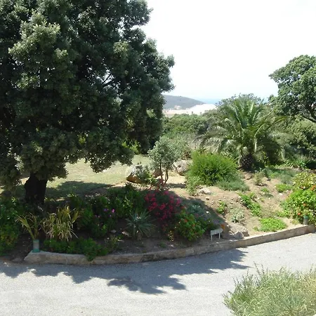 Apartamento Corsicana *