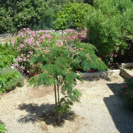 Corsicana Apartamento *