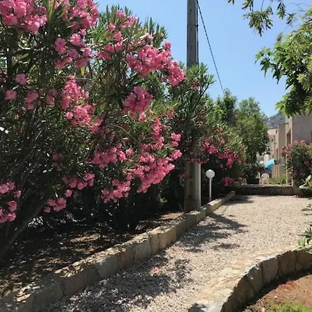 Corsicana * LʼÎle-Rousse