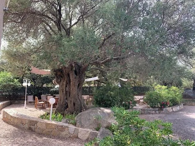 Corsicana Daire LʼÎle-Rousse
