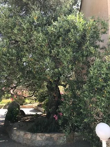 Corsicana Daire LʼÎle-Rousse