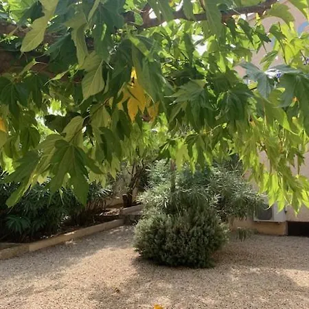 科西卡纳公寓 *