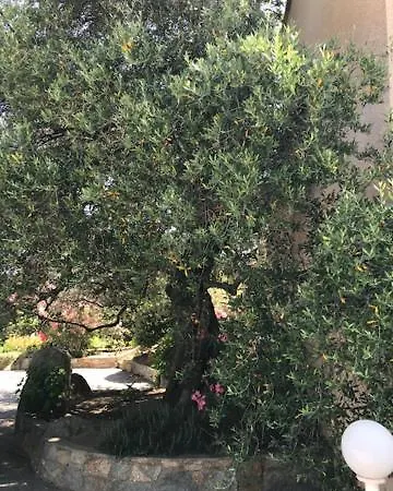 Corsicana 아파트 LʼÎle-Rousse