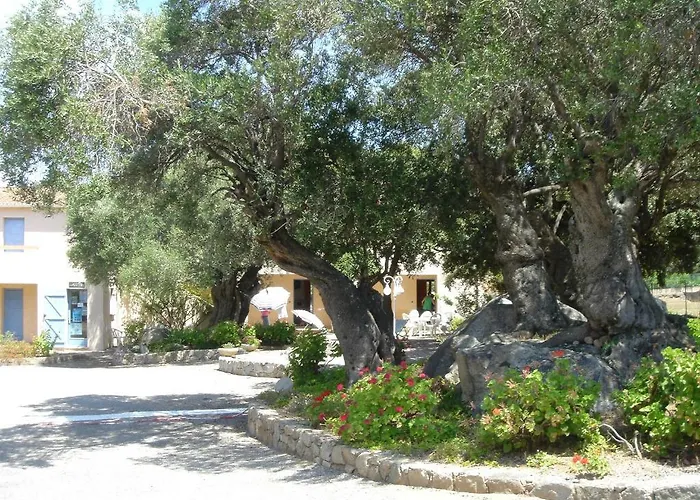 公寓 科西卡纳公寓