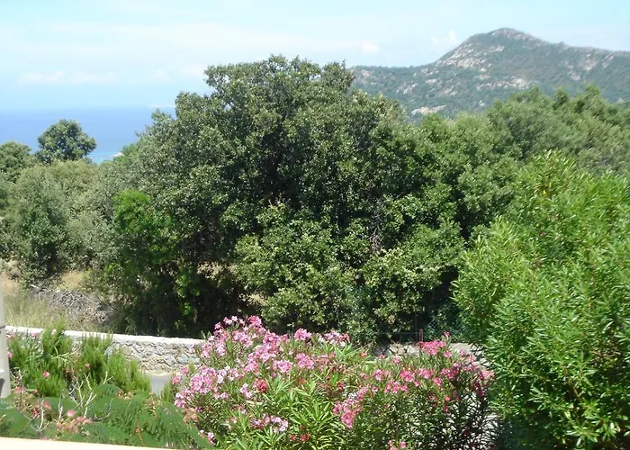 科西卡纳公寓 公寓